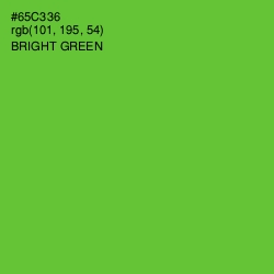 #65C336 - Bright Green Color Image